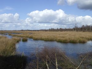 Engbertsdijksvenen in Vriezenveen