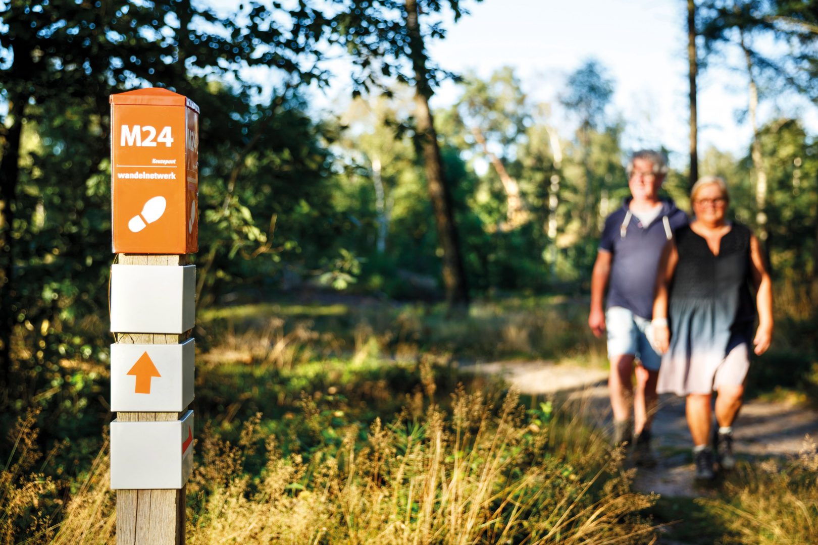 Wandelen in Rijssen